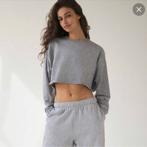 Aritzia Cropped Sweatshirt